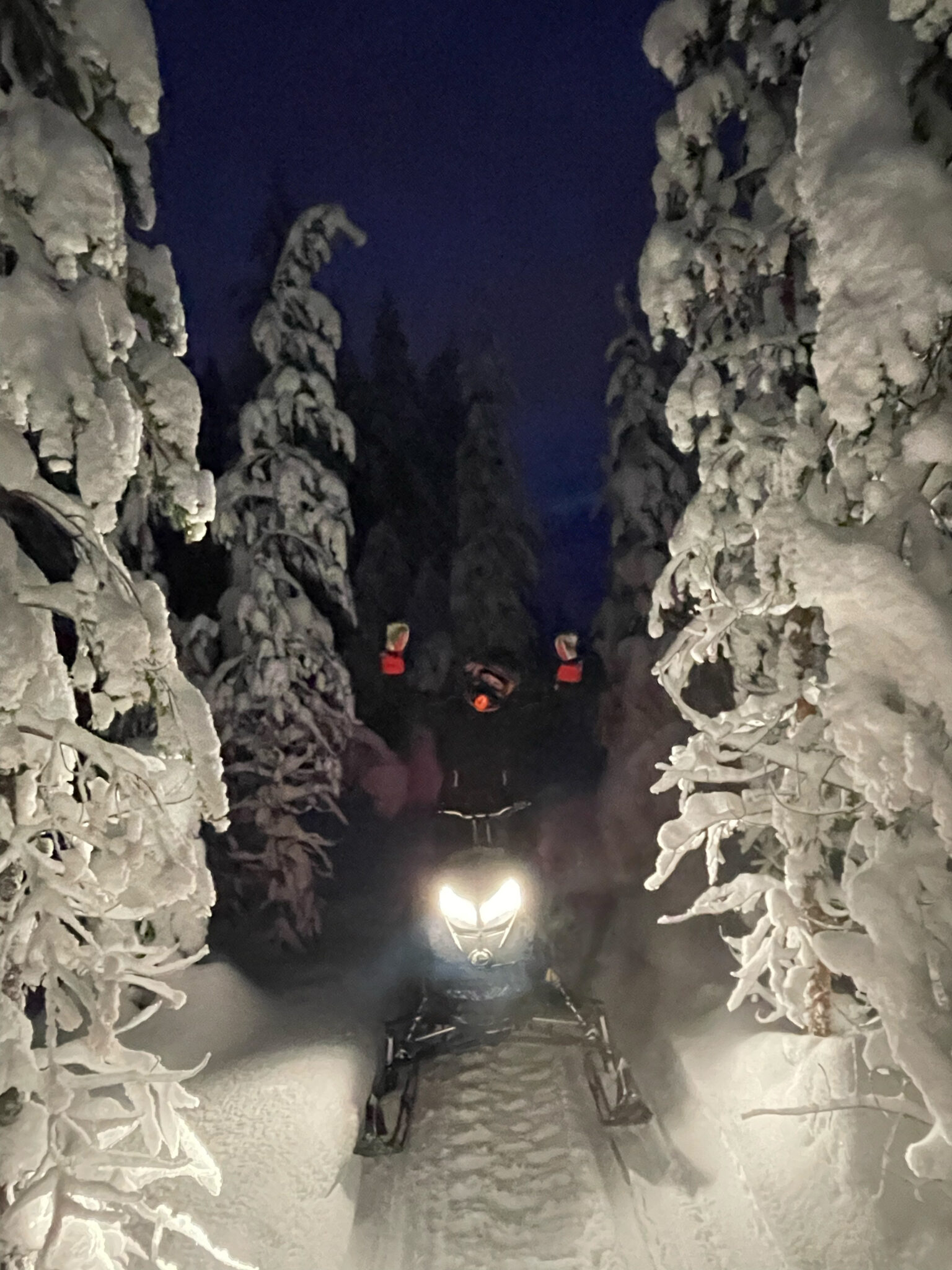 Schneemobiltour bei Nacht im Wald.