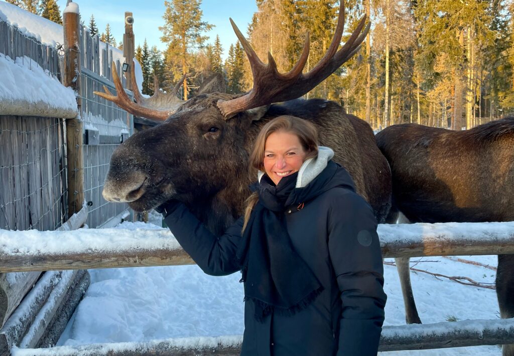Elch und junge Frau auf Elchfarm Cape Wild